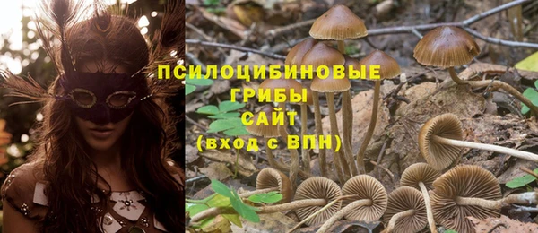 СК Горняк