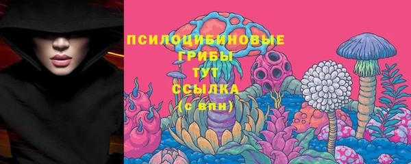 трава Горно-Алтайск