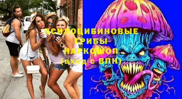 СК Горняк