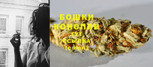 трава Горно-Алтайск