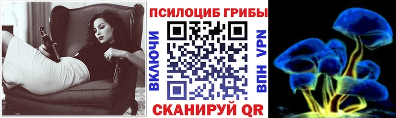 Галлюциногенные грибы Magic Shrooms  где купить наркотик  ссылка на мегу зеркало  Юрьев-Польский 